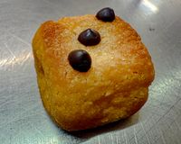 PANELLET